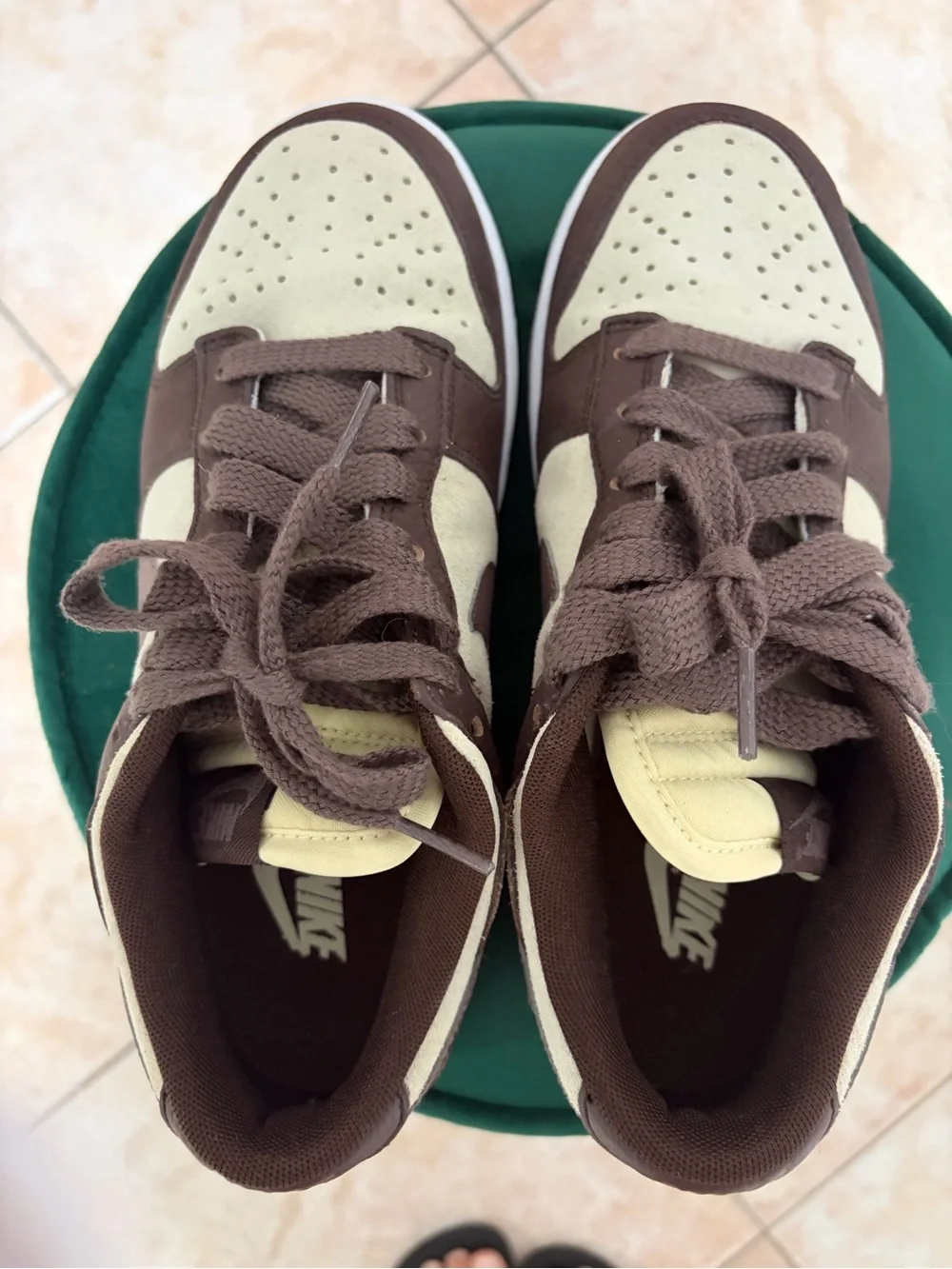Nike Dunk Low Plum Eclipse